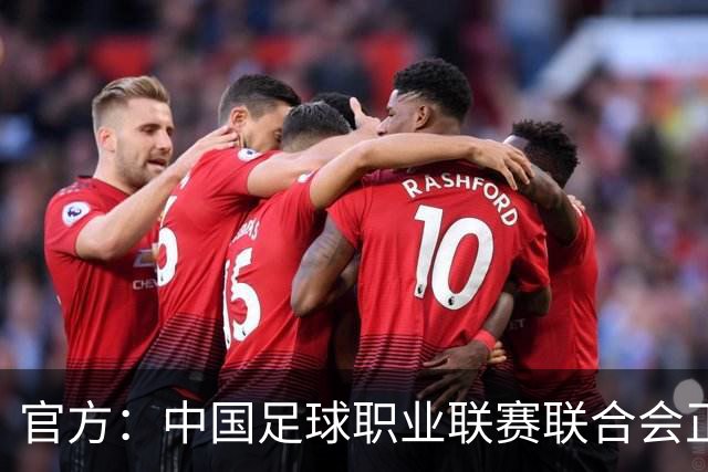 官方：中国足球职业联赛联合会正式成立
