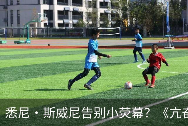 悉尼·斯威尼告别小荧幕？《亢奋》第三季后全面转战电影