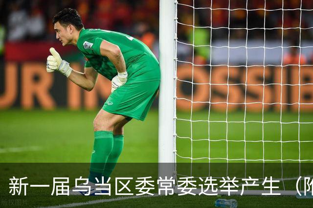 新一届乌当区委常委选举产生（附简历）→