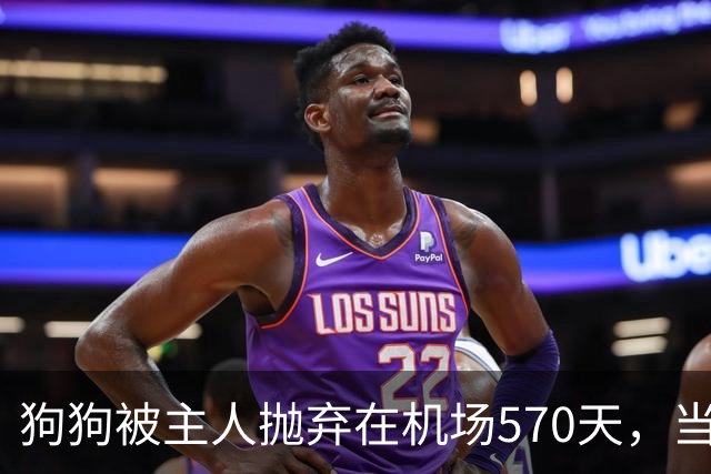 狗狗被主人抛弃在机场570天，当主人回来接它时，看哭了所有人