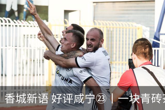 香城新语 好评咸宁㉓丨一块青砖茶，泡出新气象